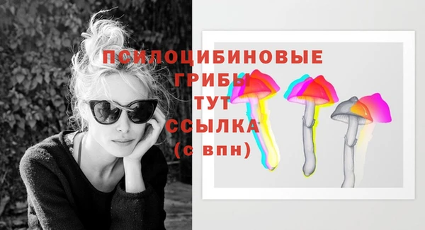 прущие грибы Алексин