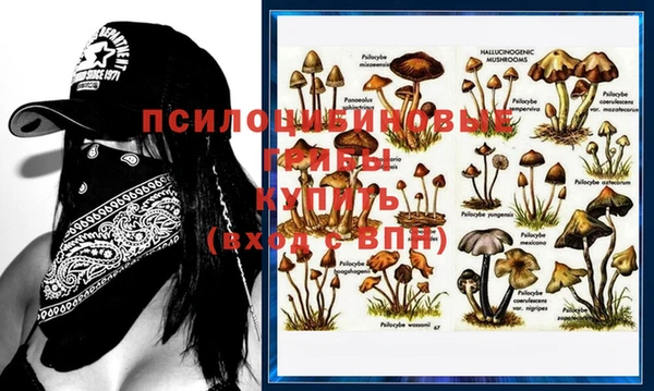 мяу мяу мука Абинск