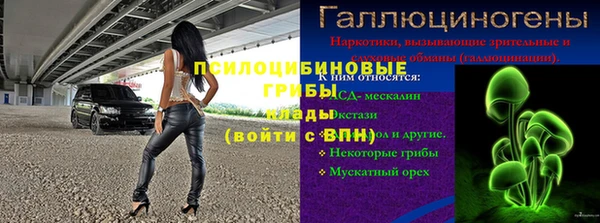 ПСИЛОЦИБИНОВЫЕ ГРИБЫ Алексеевка