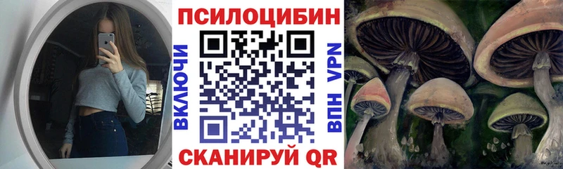 где найти   Нижнекамск  Псилоцибиновые грибы мухоморы 